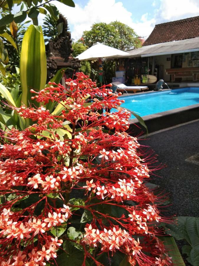 Sunwukong Guest House Ubud Exterior foto